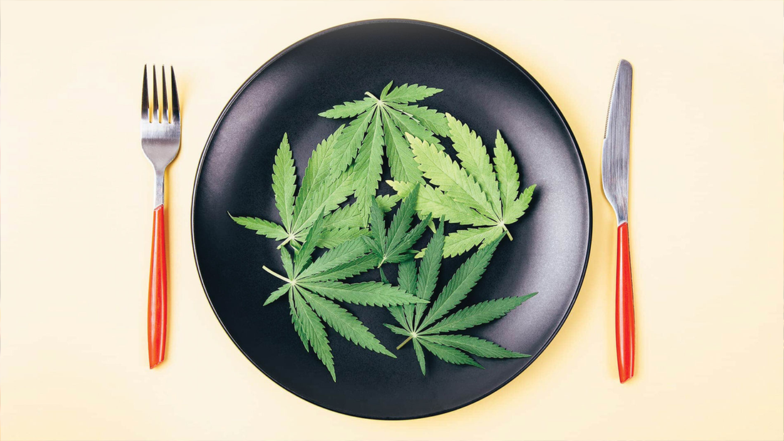 How THC and Cannabinoids Can Help Boost Appetite and Aid in Weight Loss