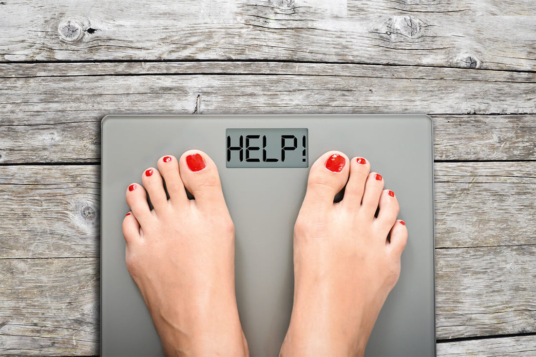 DON’T JUST BLAME WILLPOWER: THE SCIENCE OF WEIGHT REGAIN & KEEPING THE POUNDS OFF FOR GOOD.