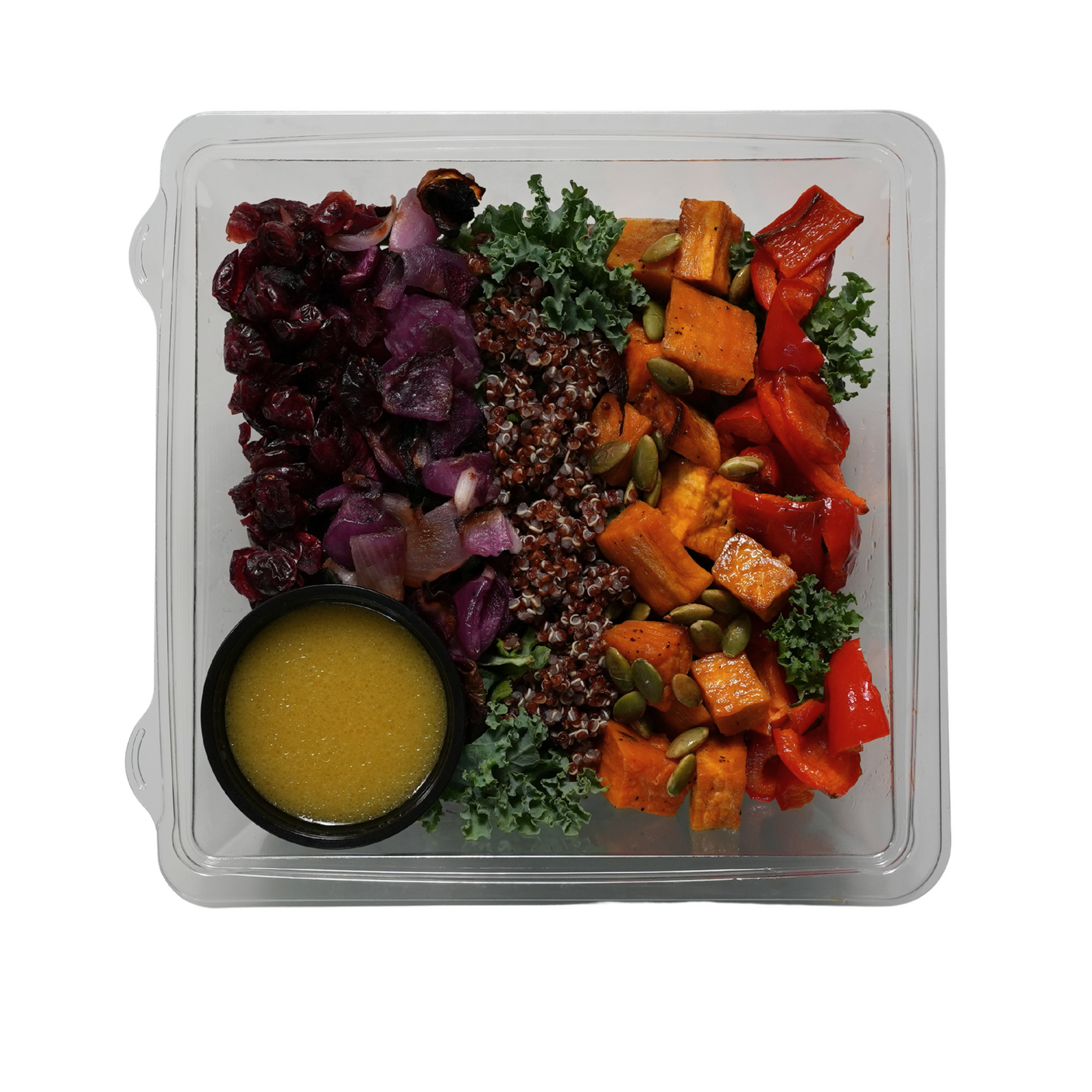 Fall Harvest Kale & Quinoa Salad