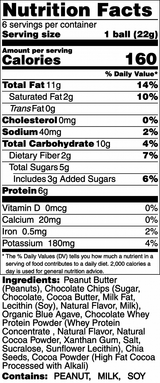 Chocolate Peanut Butter Protein Balls